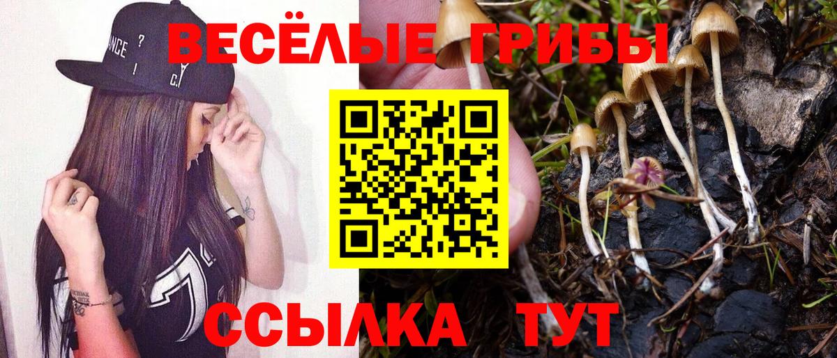 Псилоцибиновые грибы прущие грибы  Вход с VPN  Ульяновск  Галлюциногенные грибы мухоморы 